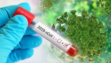 آمار رسمی بیماران تاج استان . اد ۱۳۹۹ + جدول