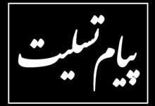 پیام تسلیت فرمانده انتظامی استان کهگیلویه و بویراحمد به مناسبت درگذشت شهادت گونه رییس پلیس راهور شهرستان کهگیلویه