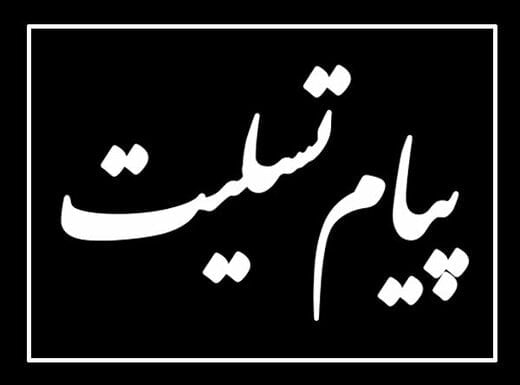 پیام تسلیت فرمانده انتظامی استان کهگیلویه و بویراحمد به مناسبت درگذشت شهادت گونه رییس پلیس راهور شهرستان کهگیلویه