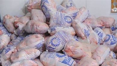 بازگشت ثبات به بازار مرغ/کمبود مرغ در صورت عدم جوجه ریزی