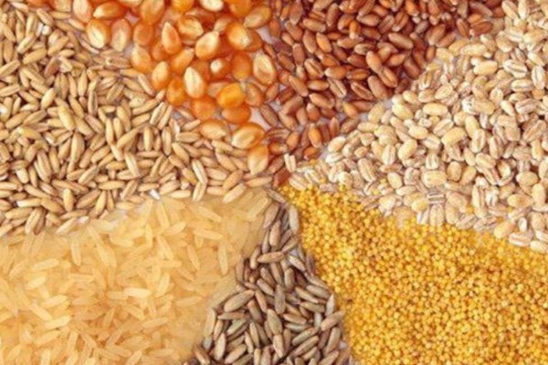 کالاهای اساسی اقدامات موثر گمرک برای سرعت بخشی به ترخیص کالاهای اساسی