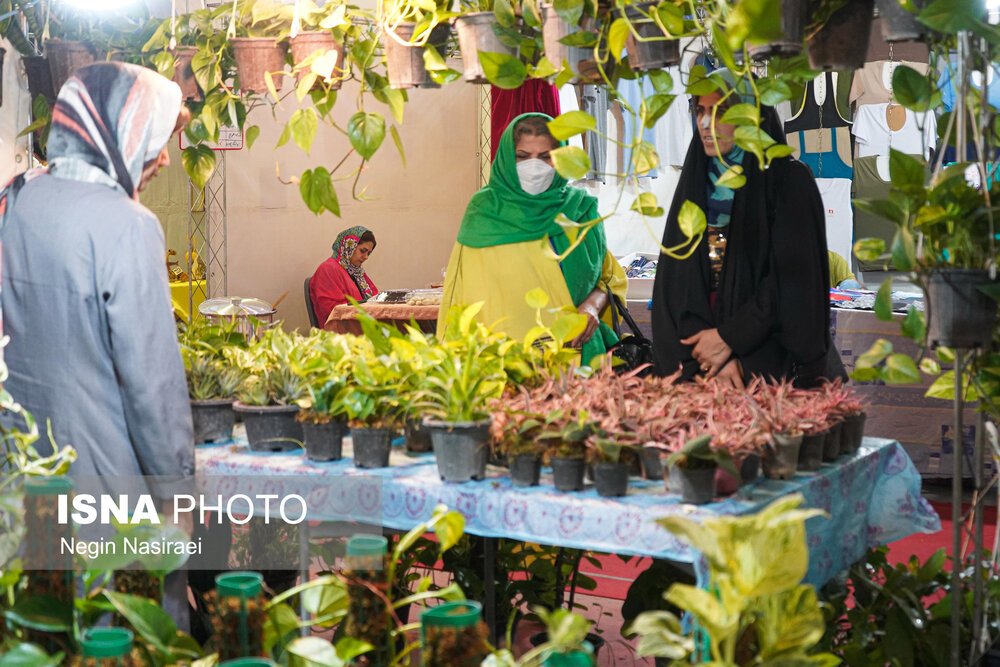 نمایش دستاوردهای کارآفرینان روستایی در بابل