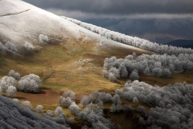 برندگان رده منظره مسابقه عکاسی Nature Conservancy 2022