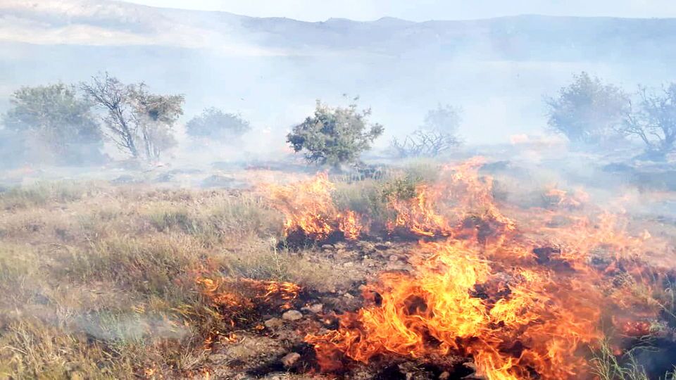 آموزش مرگ داوطلب آموزشندیده