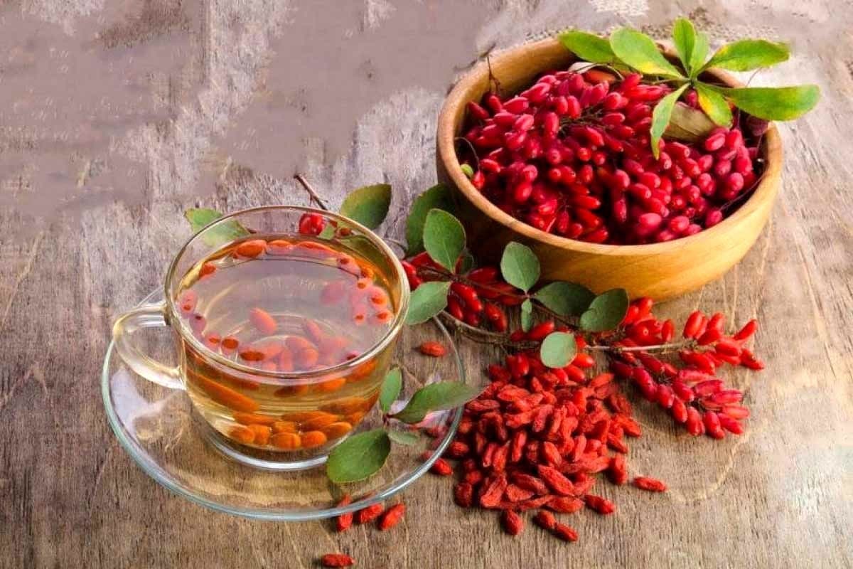عمومی