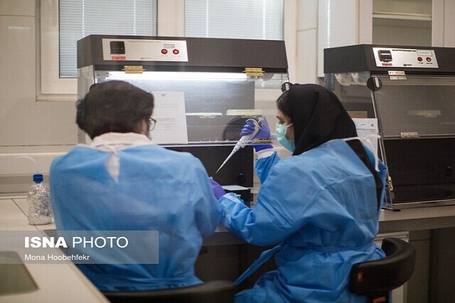 صندوق فراخوان مشارکت در طراحی و ساخت استنتهای قلب با حمایت صندوق نوآوری