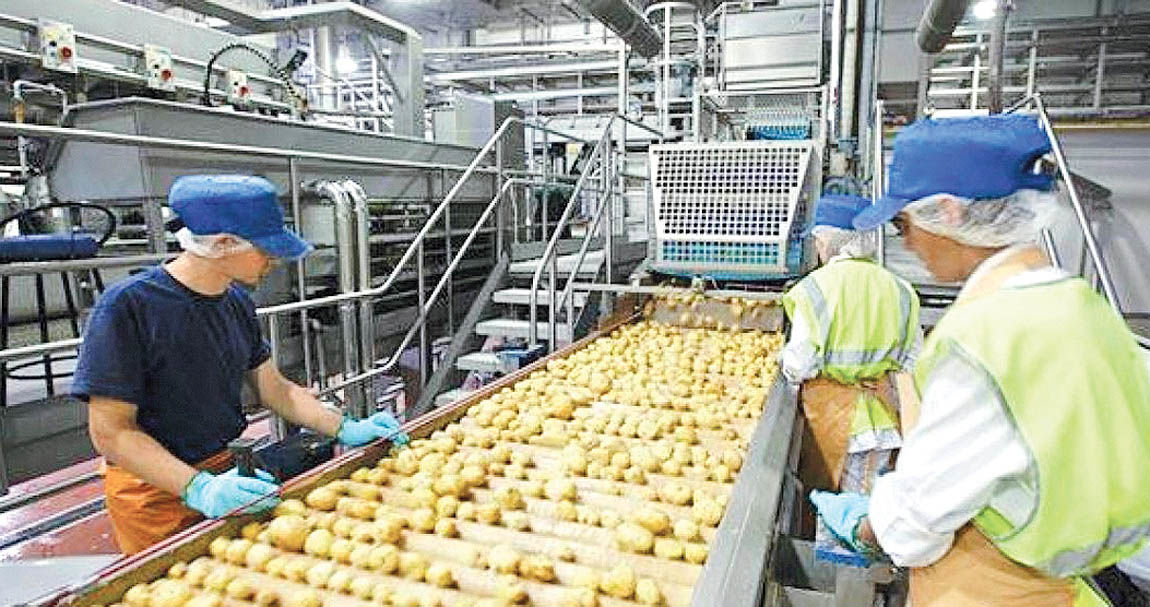 How is the food industry job market?