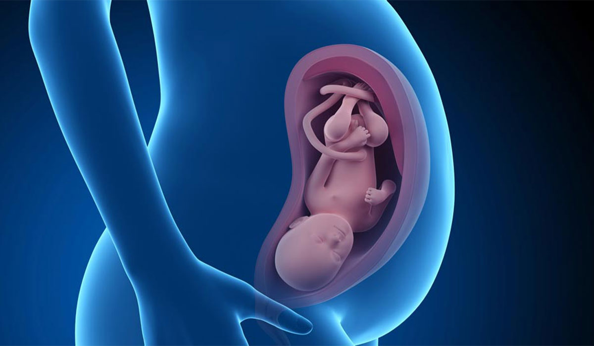 Seventh month of pregnancy and necessary care