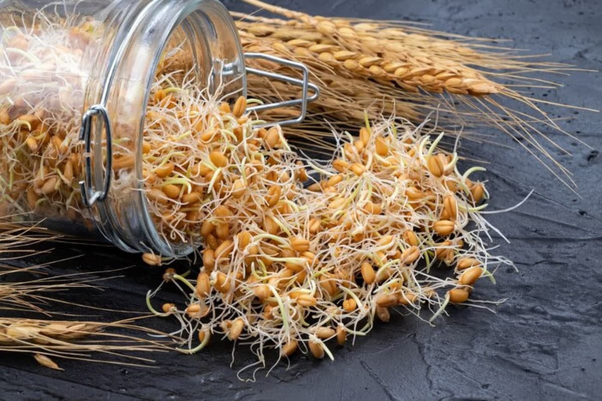 بدن | چاقی