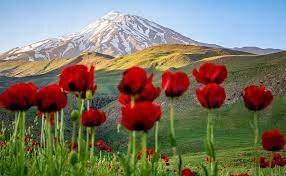 بهشتی در چند قدمی تهران