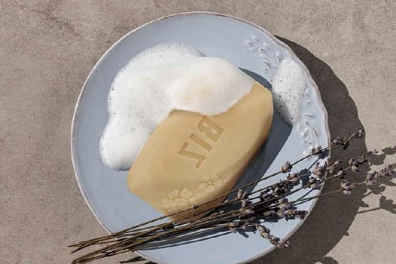 گانودرما