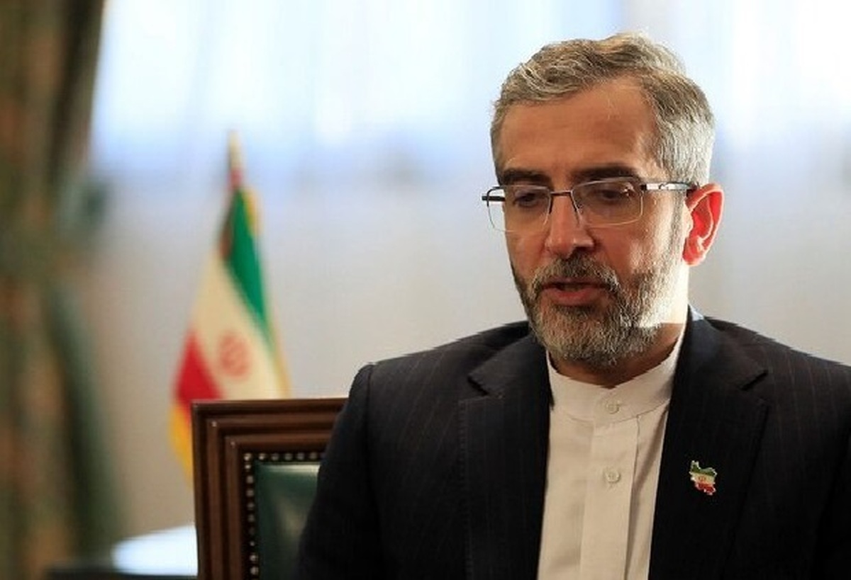 ایرانیان علی باقری: دولت کانادا به تنها ناقض حقوق بشر ملت ایران و ایرانیان مقیم این کشور تبدیل شده است